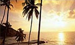 Goa Beach Turu, Goa Turlari