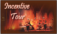 Incentive  Tours